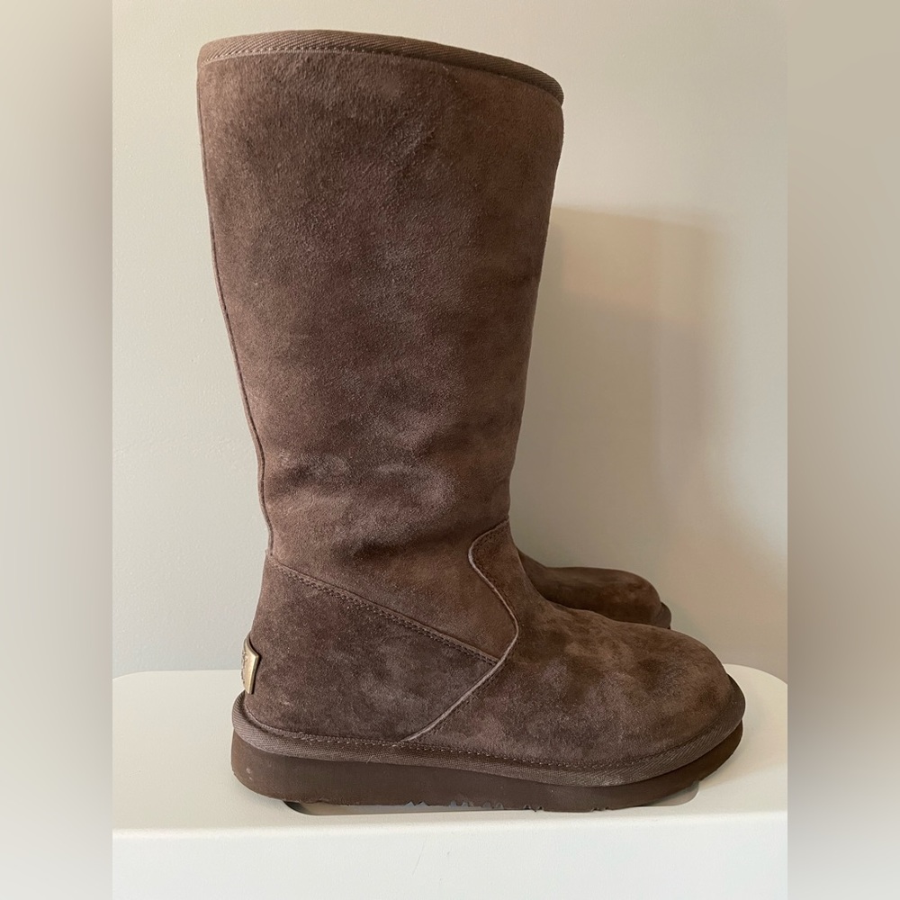 Ugg SUMNER Tall Zip Up Boots